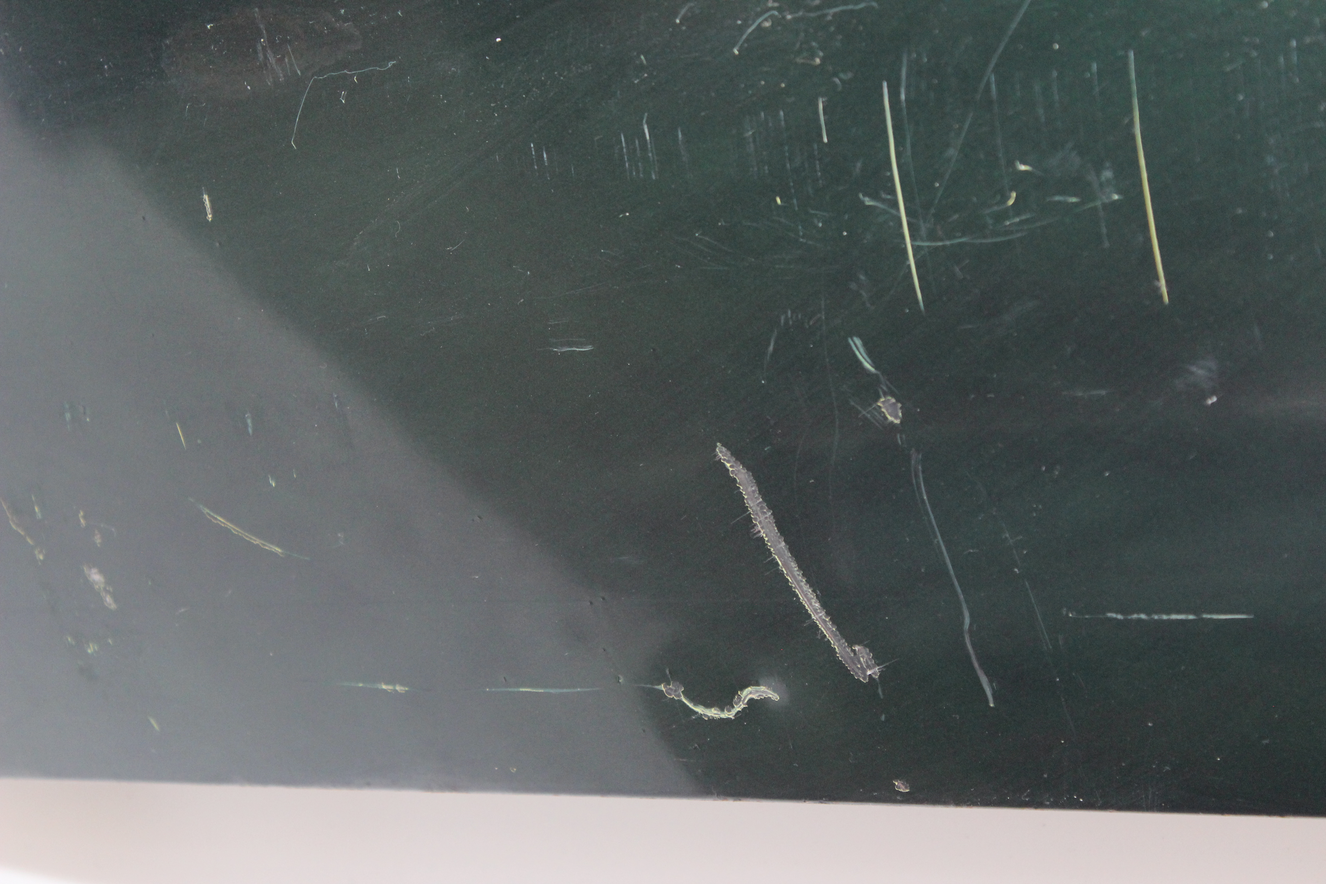 Fondtür rechts Mercedes-Benz W114 W115 /8 Strich acht Hintertür Beifahrerseite Verglasung klar grünmetallic A1157301205  